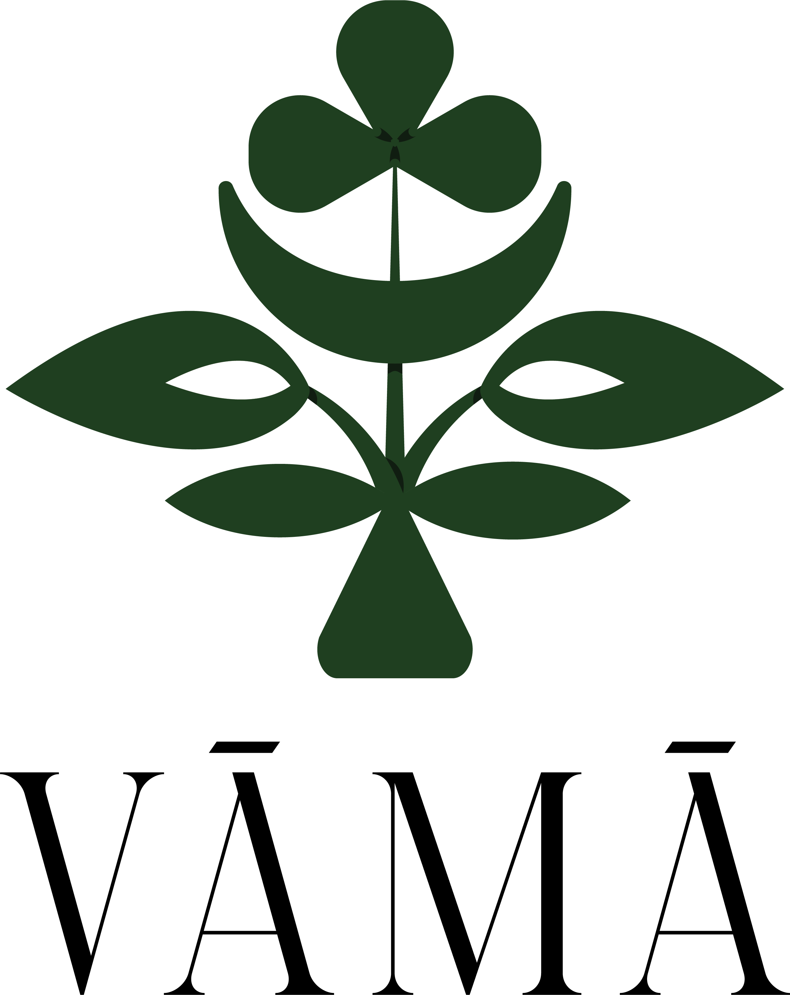 VĀMĀ